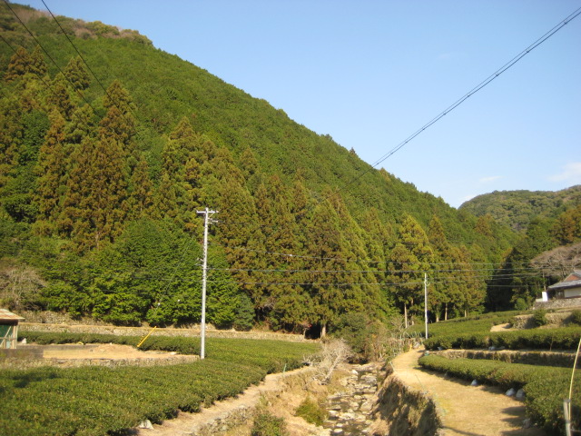 d0147727_19124196.jpg