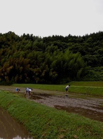 b0182030_20294916.jpg