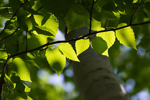 e0025030_15593015.jpg