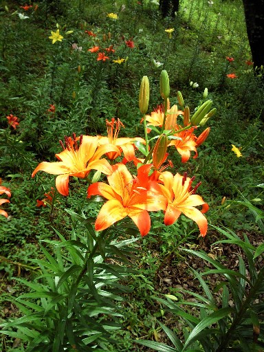 c0025033_1401894.jpg