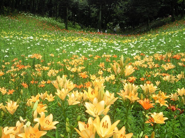 c0025033_1412147.jpg