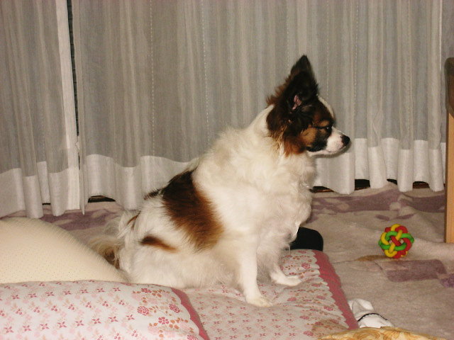 a0149240_7371797.jpg