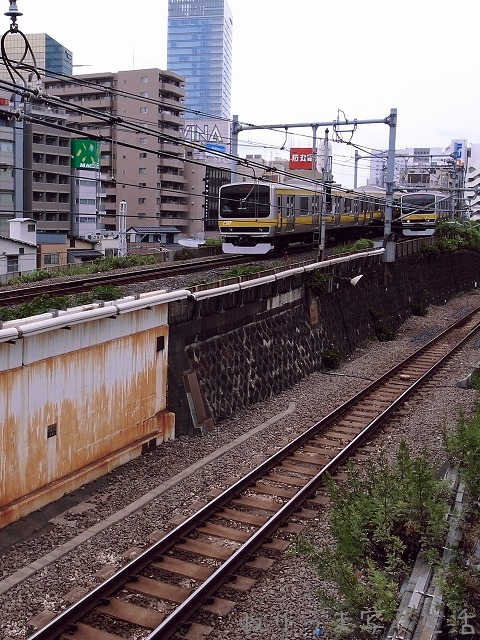 a0009142_18124244.jpg