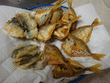 d0129745_175155.jpg