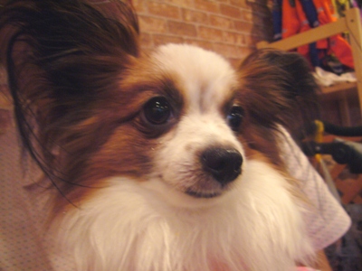 e0100046_0305350.jpg
