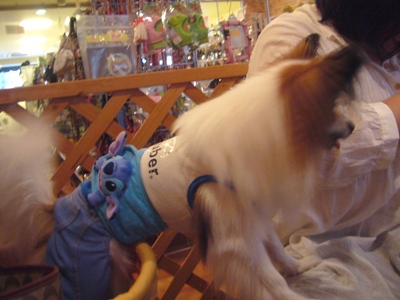 e0100046_0333958.jpg