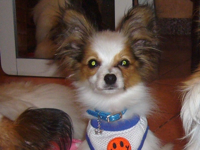 e0100046_0474975.jpg