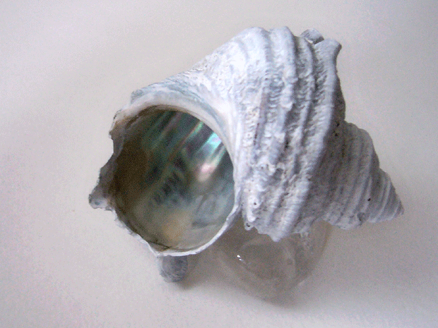 c0225153_23351354.gif