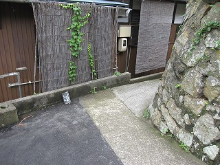 d0031853_3195.jpg