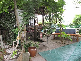 d0031853_345167.jpg