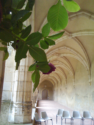 b0180156_18224978.jpg
