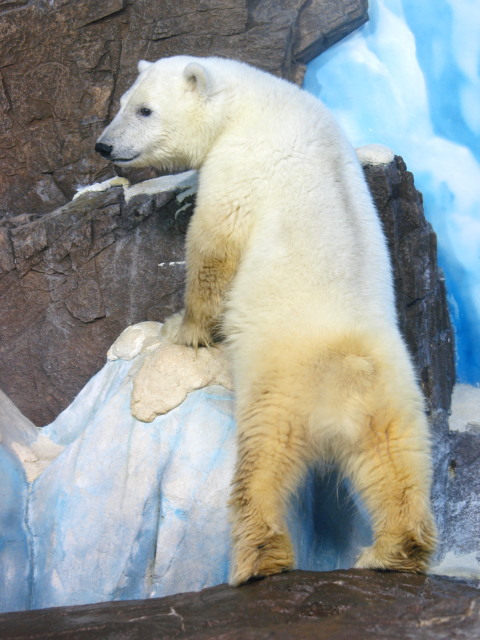 c0186760_2124318.jpg
