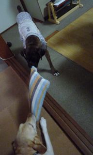 f0177261_20183434.jpg