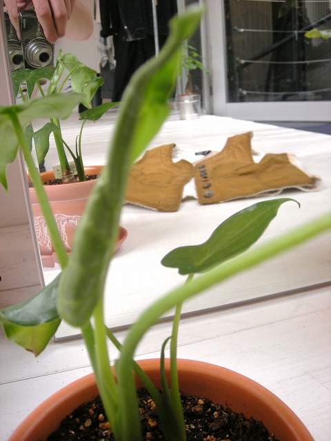 f0224266_16273665.jpg