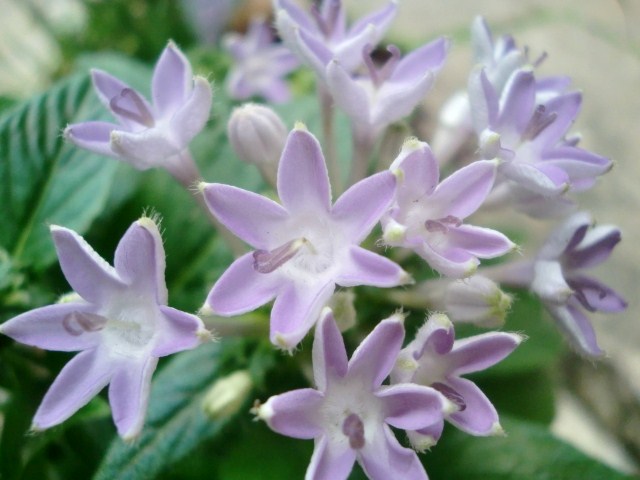 b0119969_18214050.jpg