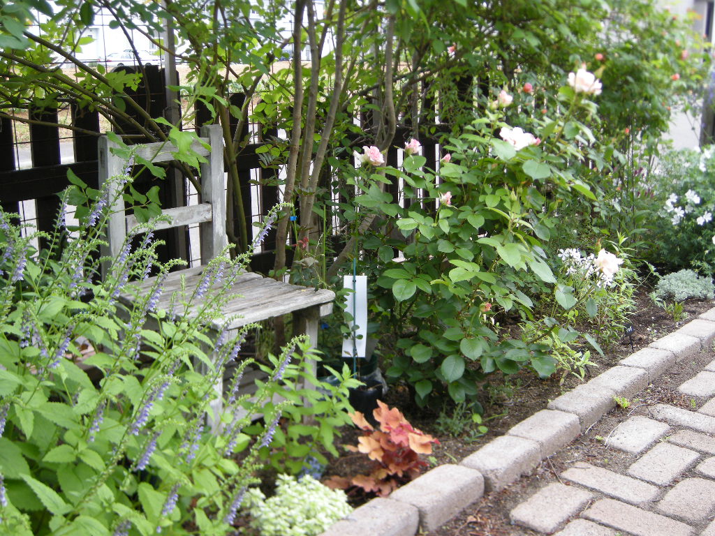 c0210571_22545361.jpg