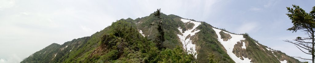 f0054075_2243435.jpg