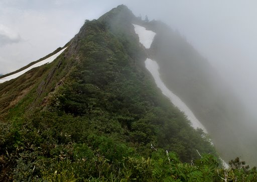 f0054075_2255568.jpg