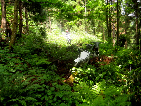 b0129477_2241264.jpg