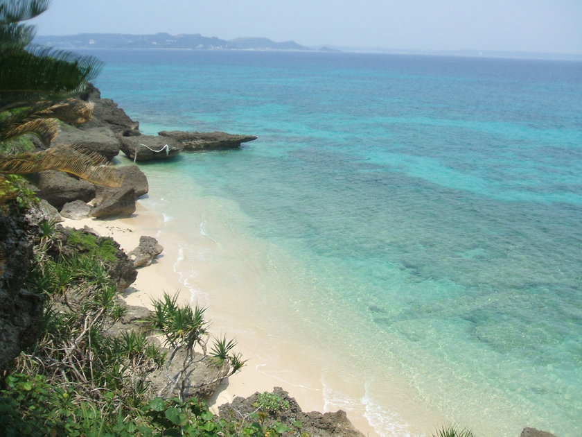 f0238779_7323959.jpg