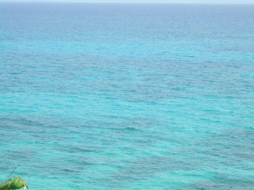 f0238779_7341170.jpg