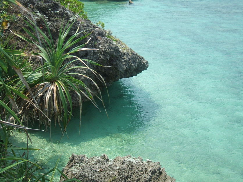 f0238779_7343889.jpg