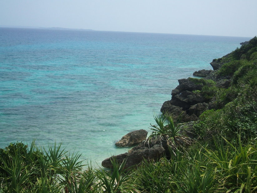 f0238779_7352045.jpg