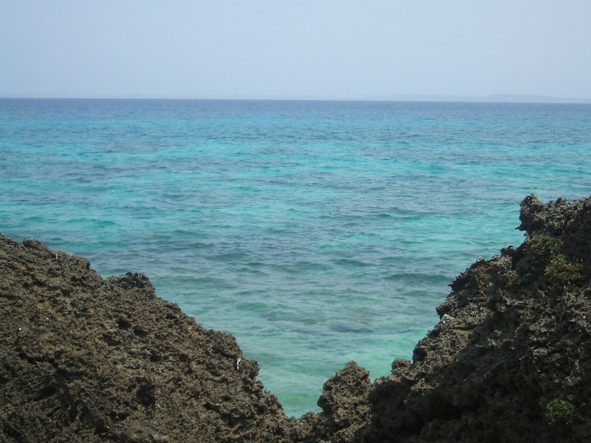 f0238779_7355789.jpg