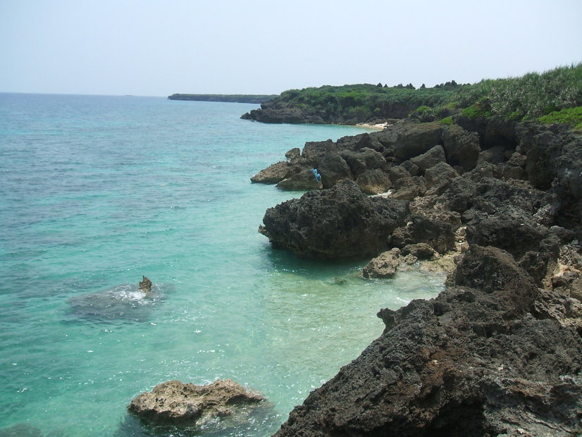 f0238779_7362913.jpg