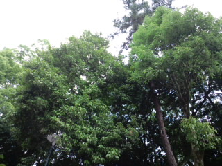 c0203680_0415740.jpg