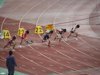 d0129083_18484329.jpg