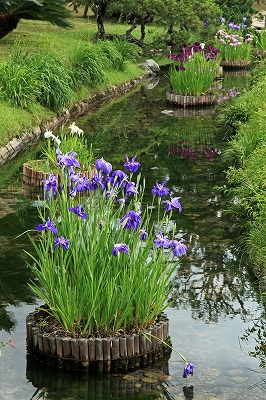 e0190885_13502135.jpg