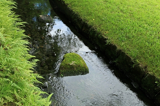 e0190885_13503419.jpg
