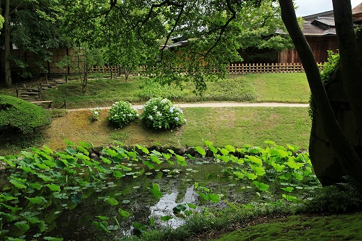 e0190885_13513359.jpg