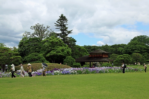 e0190885_135321.jpg