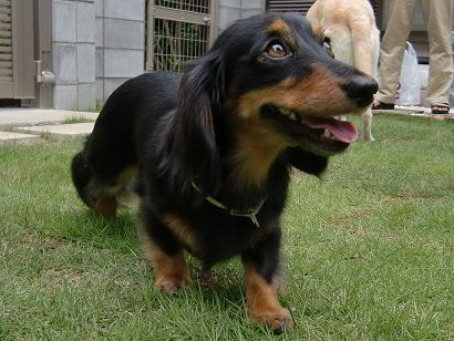 c0028792_21162963.jpg