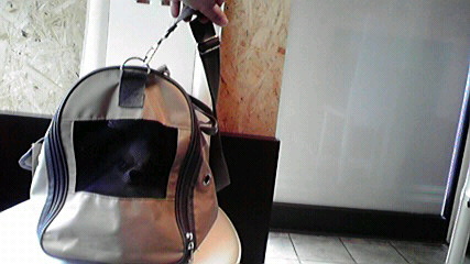 f0077097_2063751.jpg