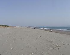 a0125598_20483653.jpg