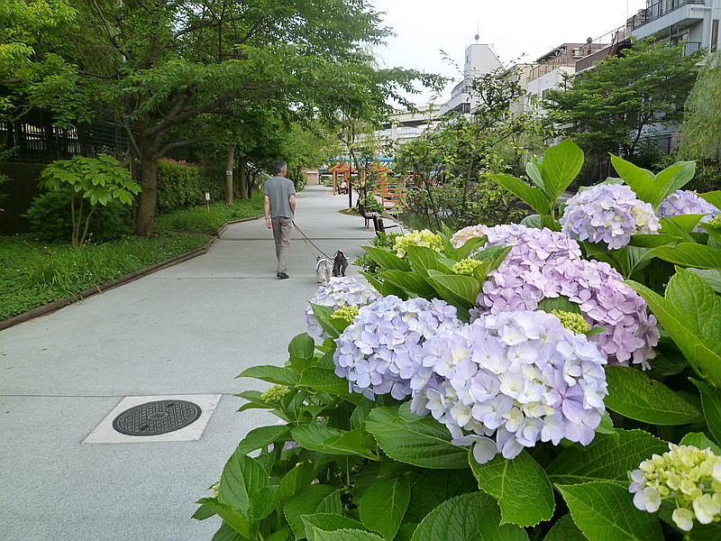 c0138198_9211649.jpg