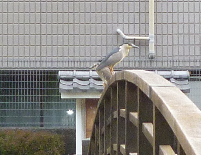 c0138198_9263523.jpg