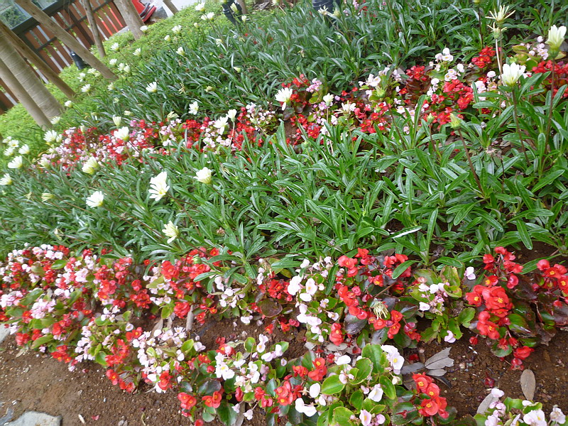 c0138198_9374053.jpg