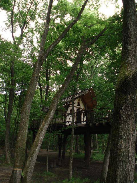 a0061599_2131293.jpg