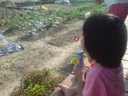 c0128199_19244942.jpg