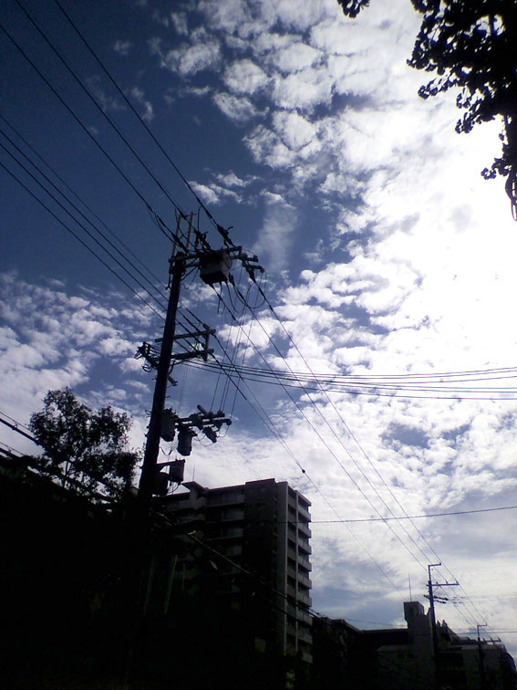 f0108399_12442781.jpg