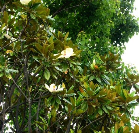 a0031000_981743.jpg