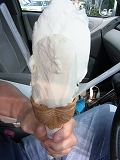 b0175400_16344091.jpg