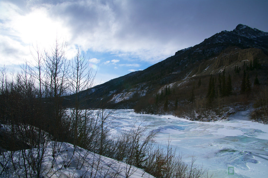 c0080101_11414046.jpg