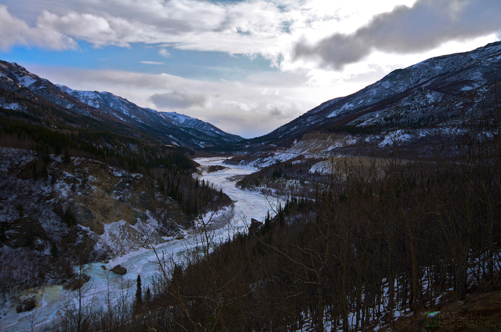 c0080101_15553226.jpg