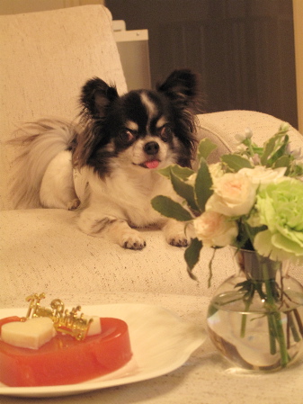 a0079803_05171.jpg