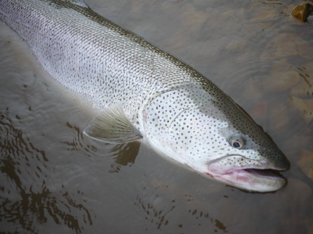 b0110205_10565131.jpg